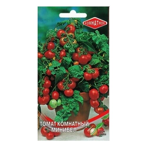 ���� ����� ��������� �������, 15 �����, ������ �� 155 ���