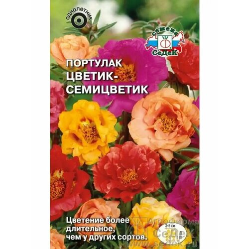 ���� �������� 