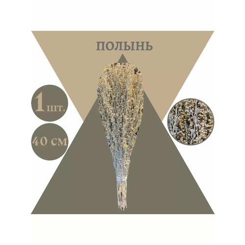 ���� �������� ����� 