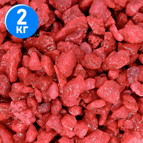 ���� ����������� ����� ��� ��������, ����������� � ��������, Zoo One, ��������� ��������, 