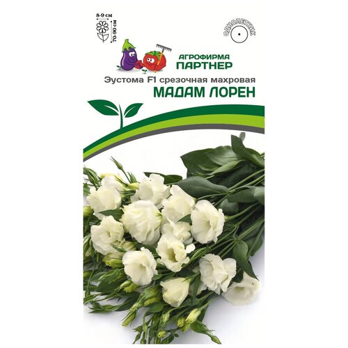 ���� ������ ������� ��������� �������� 