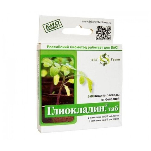 ���� ���������� 100 ����, 1 ��������, ������ �� 210 ���