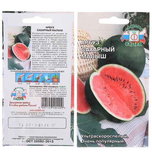 ���� ������ ����� 