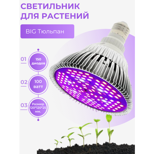 ���� ������������ ����������( ���������)