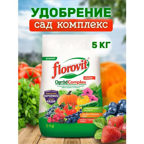 ���� ��������� ������������� ��������������� ��� �������� 5 ��, ������ �� 3020 ���