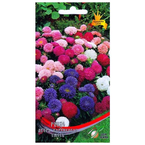 ���� ����� ������ ����� �����, 100 �����, ������ �� 234 ���