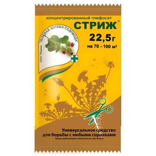 ���� ������� ������ �������� �������� �� ����� �������� �����, 22.5 ��, 22.5 �, ������ �� 260 ���