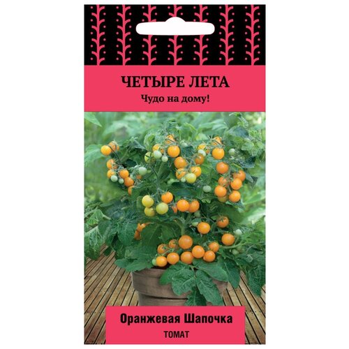 ���� ������ ����� ��������� ������� ����� 5�� ��� ������ (�����) ������ ����, ������ �� 48 ���