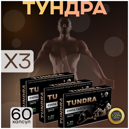 ���� ������ ������� ����������� ������, 20 ������, 3��, ������ �� 1329 ���