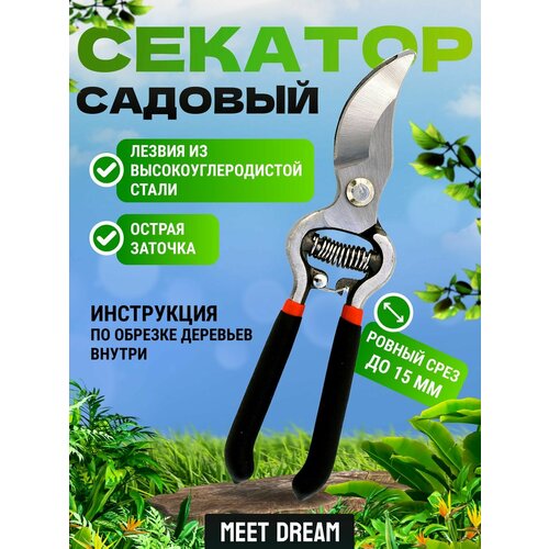 ���� ������� �������, ������ �� 460 ���