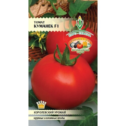 ���� ����� ������� F1 10��. (�. �.), ������ �� 147 ���