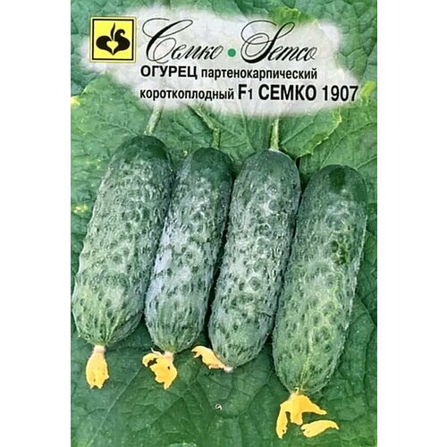     1907 F1  10   (),   145 