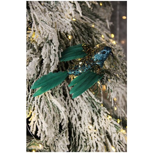 ���� ������� ������� ������ �� ���� 18��, ����������, ������ �� 498 ���