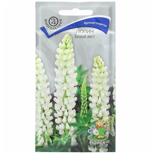 ���� ������ ������ ����� ���� 1�, ������ �� 269 ���