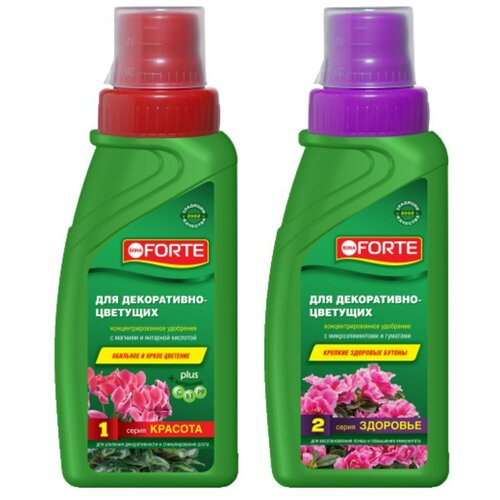 ���� ����� ������ ��������� Bona Forte ��� �����������-�������� �������� ������� 285��+�������� 285��, ������ �� 514 ���