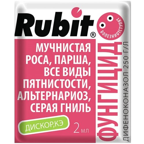  Rubit     , 2 , 2    -     , -, 