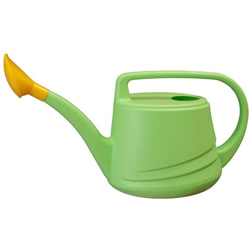 ���� ����� 