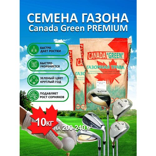        PREMIUM 10 / , ,    /2 ,   6900 