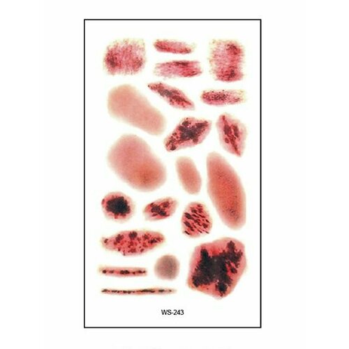 ���� ���������� ��������� ���� ����� � ���� �� �������� / 10 � 6 �� ����, ������ �� 560 ���