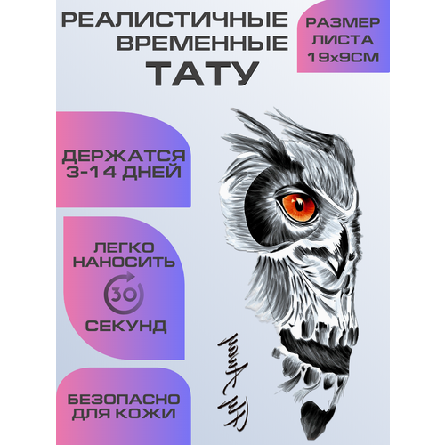 ���� ���� ���������� ��������������, ��������� ����, ������ �� 399 ���