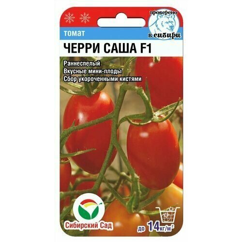 ���� ������ ����� �����-���� F1 15�� ����� ������ (��������� ���), ������ �� 51 ���