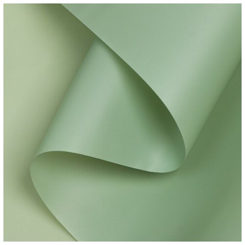 ���� ������ ����������� ����-���� 