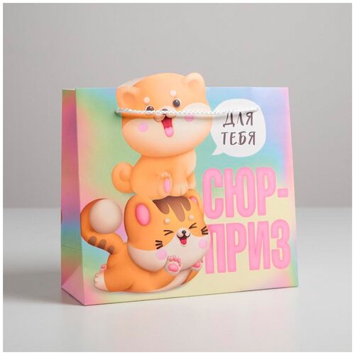 ���� ����� ���������� ������ ������� �������, 25 x 26 x 10 ��, ���������, ������ �� 222 ���