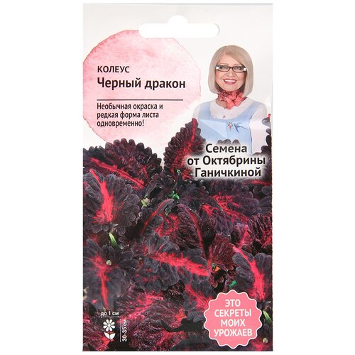 ���� ������ ������ ������ 