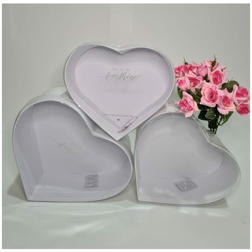 ���� ����� ������� 3�1 � ���������� �������. ������ ����� Sunshine., ������ �� 1050 ���