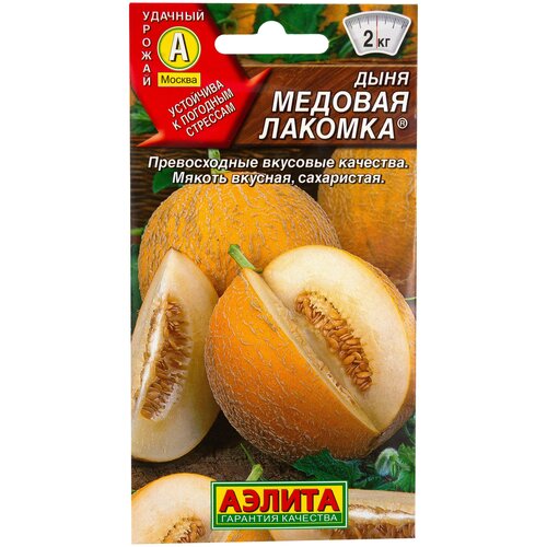 ���� ������ ���� 