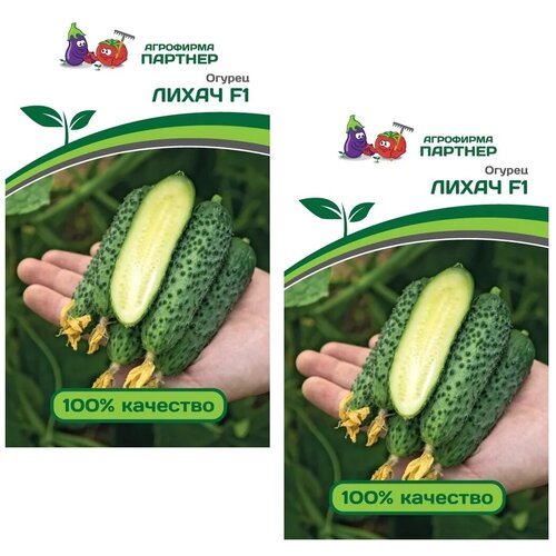 ���� ������ ������ ����� F1 /��������� �������/ 2 �������� �� 5 �����, ������ �� 440 ���