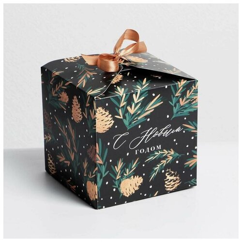 ���� ������ ������� ������� �������� ������, 12 ? 12 ? 12 ��, ������ �� 198 ���