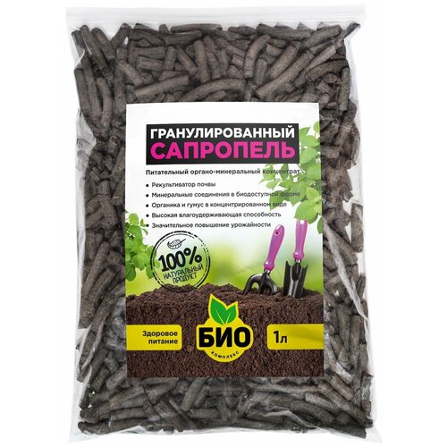 ���� ��������� 