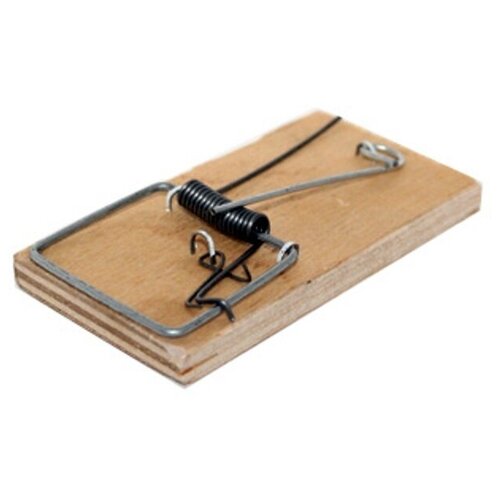 ���� ���������� ��������� ����� 100 � 50 � 15 ��, ������ �� 110 ���