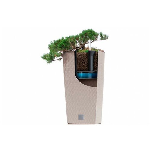 ���� ������� ��������� ������ ������ � �������, ��������� ��� ����� RATO & URBI IZSK265, ������ �� 899 ���