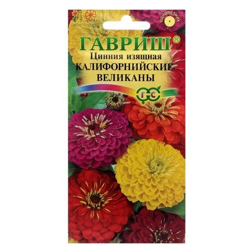 ���� ������ ������ 