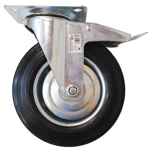 ���� ������ 