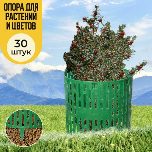 ���� ������ ������� ��������, 30 ��, ������� �������� ��� ���� ������������, ����� ��� ��������, ��������� ����� �������, ������ ��� ����, ������ �� 1500 ���