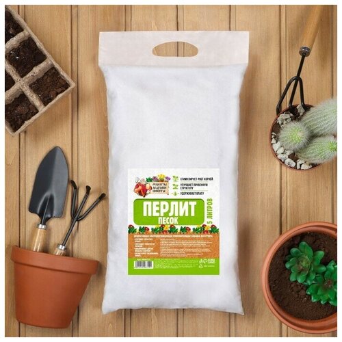 ���� ������ ����� 