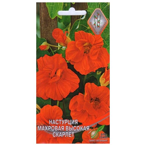 ���� ��������� �������� ������� �������, 9 �����, ������ �� 225 ���