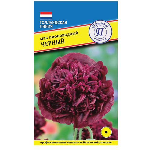 ���� ������ ������ ��� ����������� �������� 