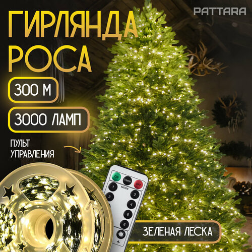 ���� �������� ���� ������������ �� ���� ������� ���������� 300 �, 3000 ����, ������� �����, ������ �� 4000 ���