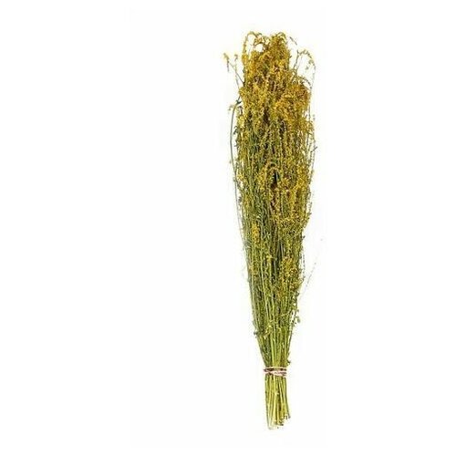 ���� ������� ��� ���� ������, �����-��������, ��������, 1 ��., ������ �� 280 ���