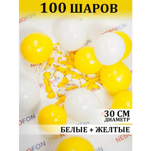 ���� ��������� ���� ����-������ 100 ���� �����, ������ �� 565 ���