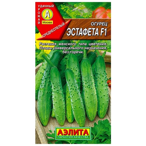 ���� ������. ������ 