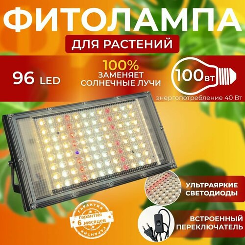 ���� ��������� ��� ����������� �������� ������� ������ ������ �������������� ������������, ����� ��������� ��� ������ � ��������, ������ �� 1800 ���