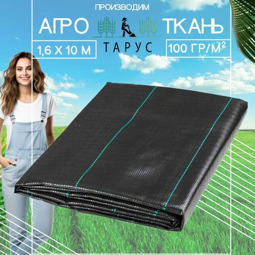     ,   .  100/2 (1,6010),   1050 