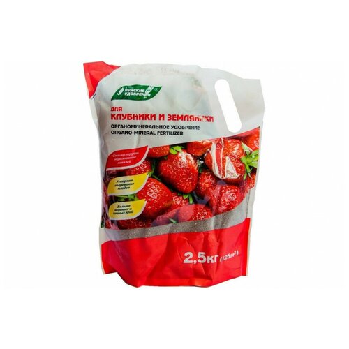 ���� ��������� ����������������� 