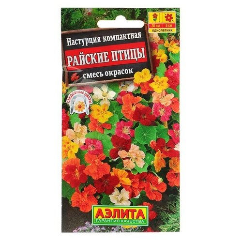 ���� ������ ������ 