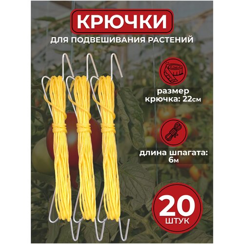 ���� ������ ��� ������������ �������� � �������/������� � �������� ������� (20 ����), ������ �� 800 ���